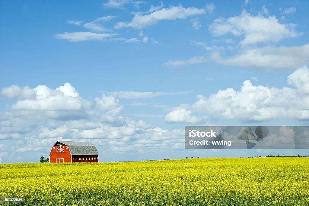 Красный Barn и растительного поле один - Стоковые фото Красный амбар роялти-фри