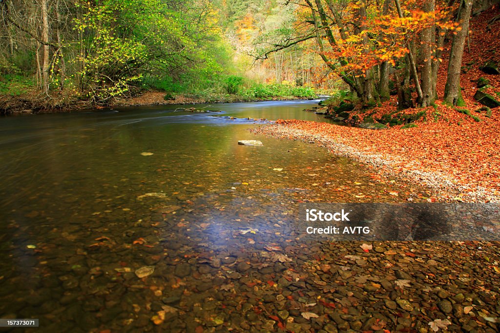 Fiume autunno - Foto stock royalty-free di Acqua