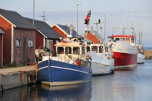 A number of trawlers at a harbour