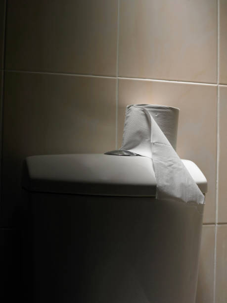istock Tissue roll on top of toilet seat 1573734591