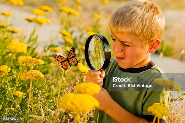 Photo libre de droit de Explorer banque d'images et plus d'images libres de droit de Enfant - Enfant, Papillon, Fleur - Flore