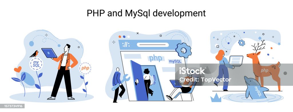 Php And Mysql Development Software Website Developer Programmer Service ...