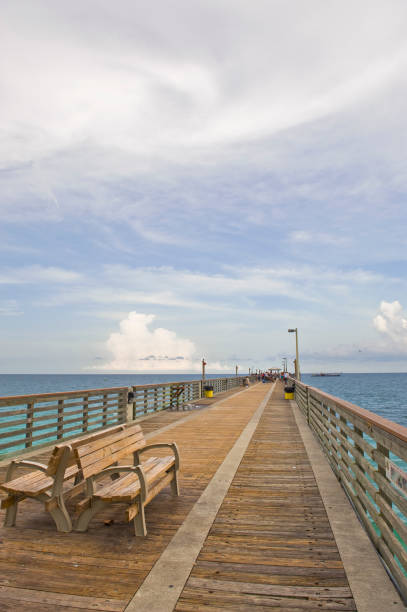istock Ocean Landscape with Pier View and Cloudy Sky 157373497