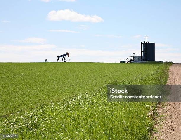 Oil And Agriculture Scenic Stock Photo - Download Image Now - Agreement, Agriculture, Agricultural Field