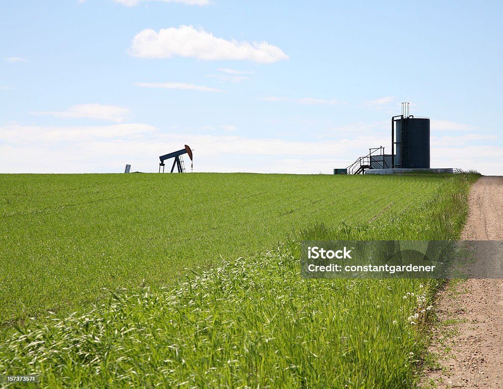 Óleo e agricultura Paisagem - Royalty-free Acordo Foto de stock