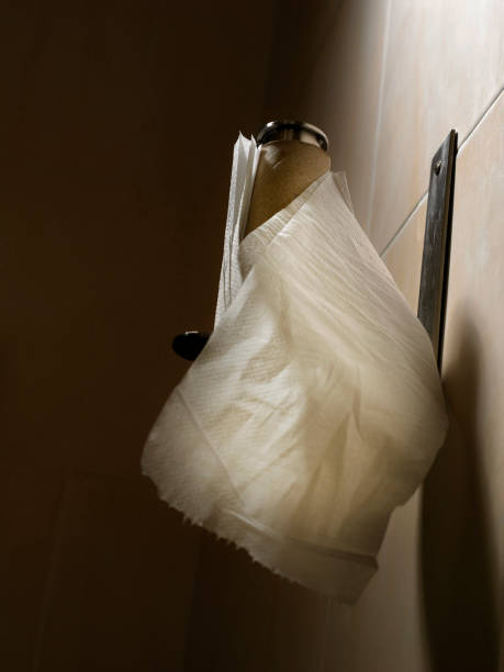 istock Toilet role hanging on wall 1573736344