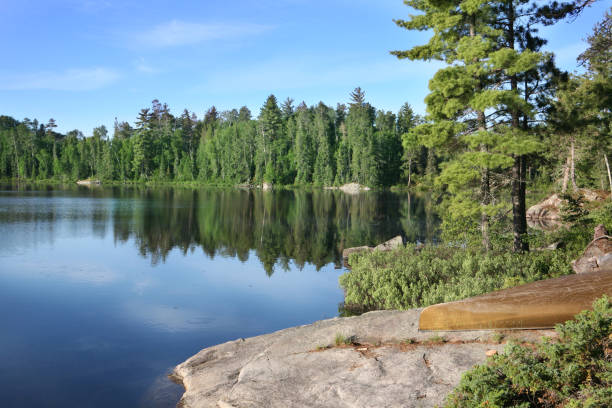 Beautiful Summer Morning on a Wilderness Lake Canoe campsite in early morning sun. boundary waters canoe area stock pictures, royalty-free photos & images