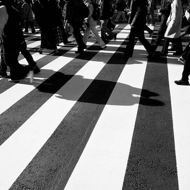 Zebra Crossing  zebra crossing photos stock pictures, royalty-free photos & images