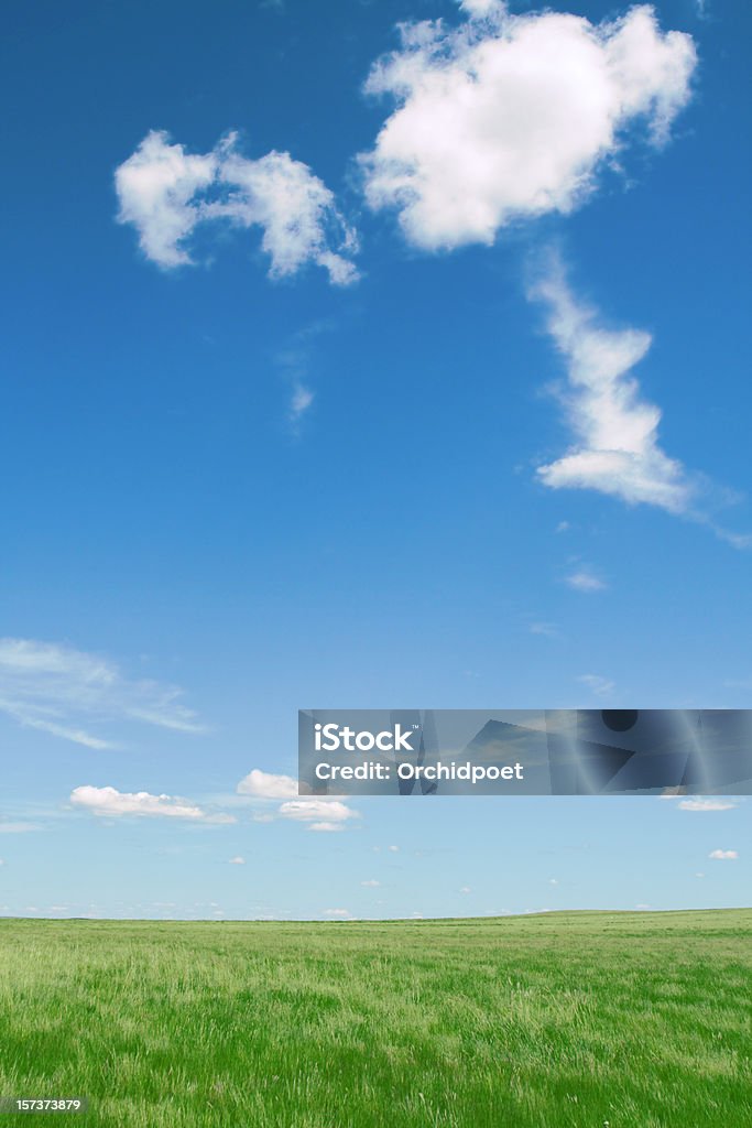 Aire puro en grassland - Foto de stock de Aire libre libre de derechos