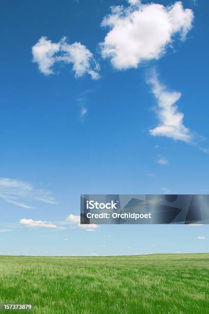 Aire Puro En Grassland Foto de stock y más banco de imágenes de Aire libre - Aire libre, Azul, Campo - Tierra cultivada