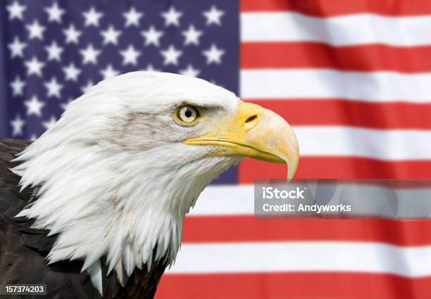 Eine Starke Partnerschaft Stockfoto und mehr Bilder von Flagge - Flagge, Weißkopfseeadler, Adler