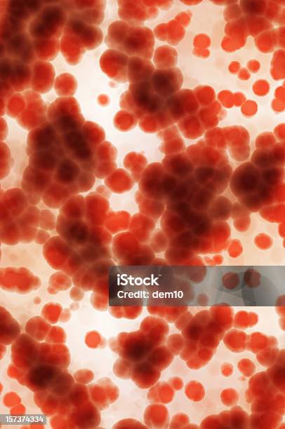 Vermelho Circular Células - Fotografias de stock e mais imagens de Fluxo Sanguíneo - Sangue - Fluxo Sanguíneo - Sangue, Célula humana, Ampliação