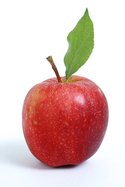 istock Apple a day keeps the doctor away 157374378