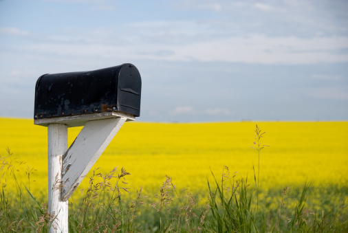 A black country mailbox with a yellow canola field background. Copy space