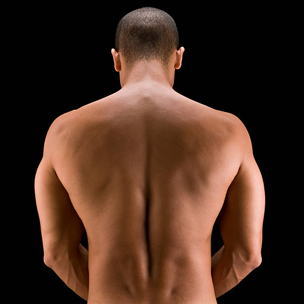 のバック - back rear view men muscular build ストックフォトと画像