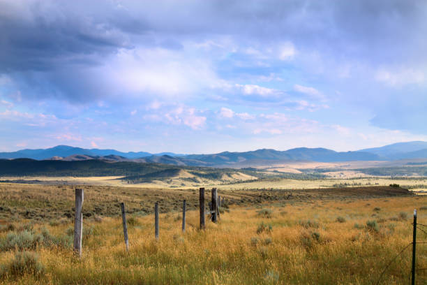 Some snow still clings to the top of the mountains in August as evening sets in over a field of green in western Montana, USA.