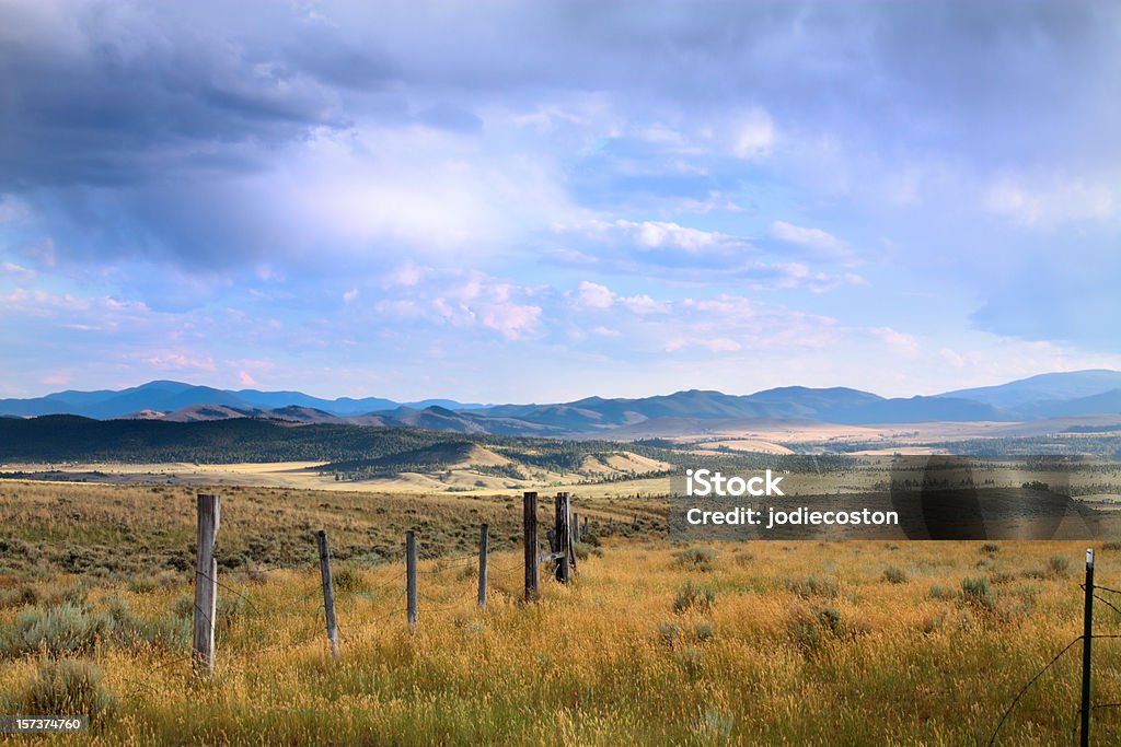 Zabarwiona Montana niebo - Zbiór zdjęć royalty-free (Stan Montana)
