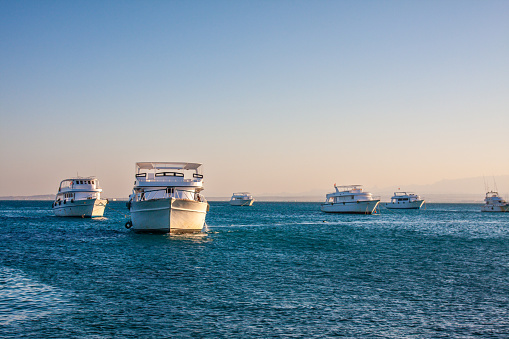 A group of white yachts and motorboats serenely anchored on the tranquil waters of the Red Sea, Egypt. The boats are gathered at the center of the image, their positions secured by anchors. The Red Sea exhibits its characteristic deep blue color, while the sky above presents a light blue hue indicative of the sunset setting. In the background, distant mountains add a touch of natural splendor to the picturesque scene of boats resting peacefully on the Red Sea's waters.
