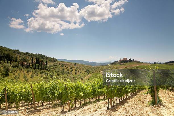 Felder In Chianti Wein Stockfoto und mehr Bilder von Anhöhe - Anhöhe, Bauernhaus, Baum