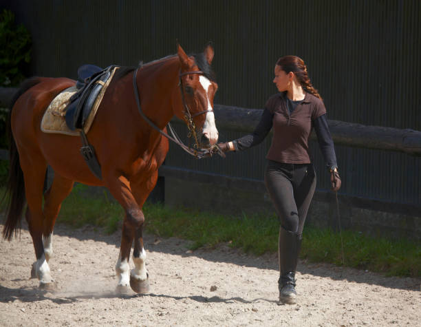 istock Young woman and her horse 157374874