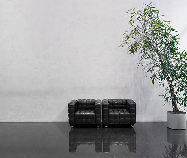 Wating area with two black chairs and a plant