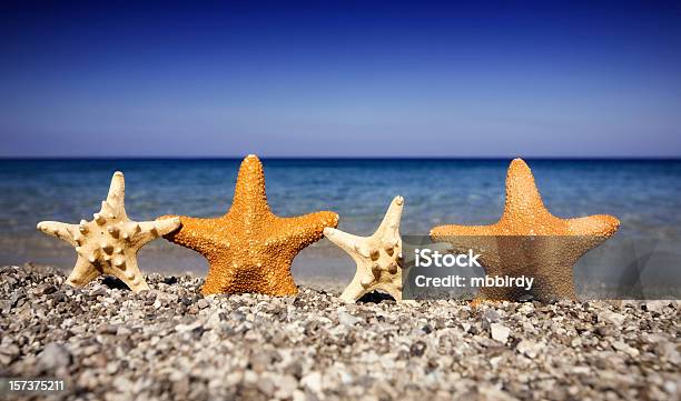 Счастливый Starfishes На Пляже — стоковые фотографии и другие картинки Без людей - Без людей, Береговая линия, Близость