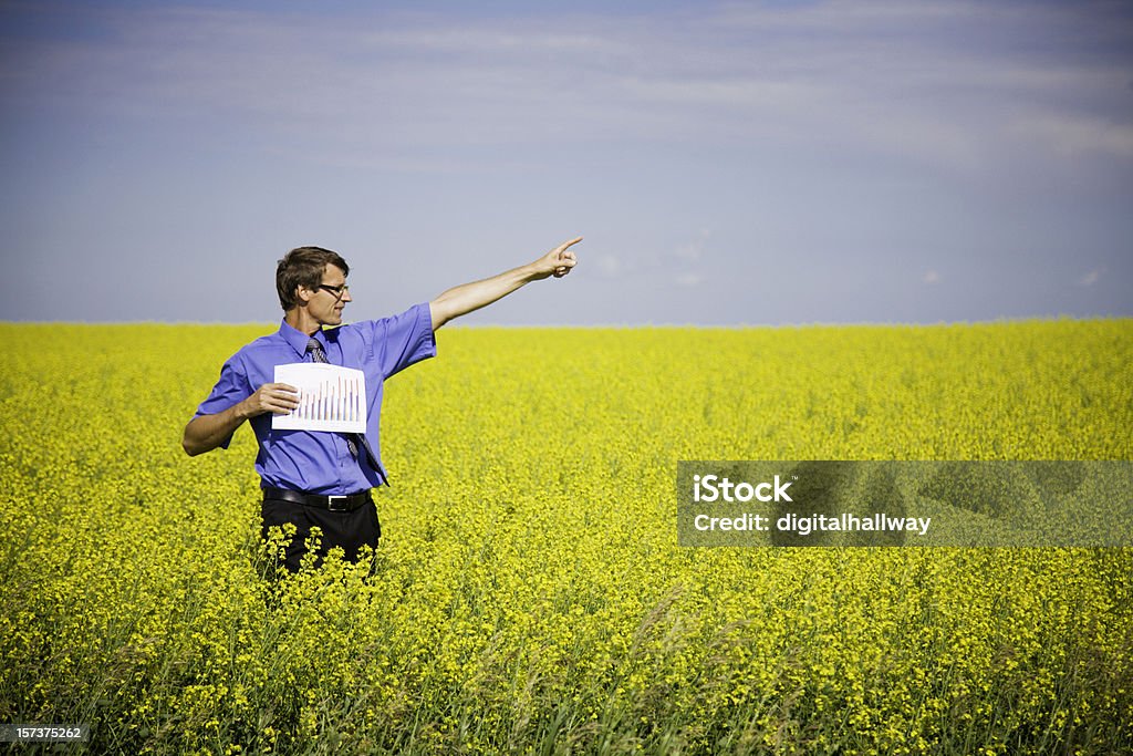 Homem de negócios apontando - Foto de stock de Adulto royalty-free