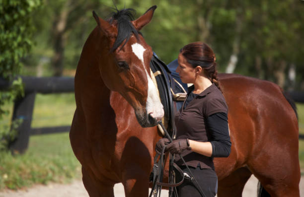 istock Young woman showing affection towards her horse  157375296