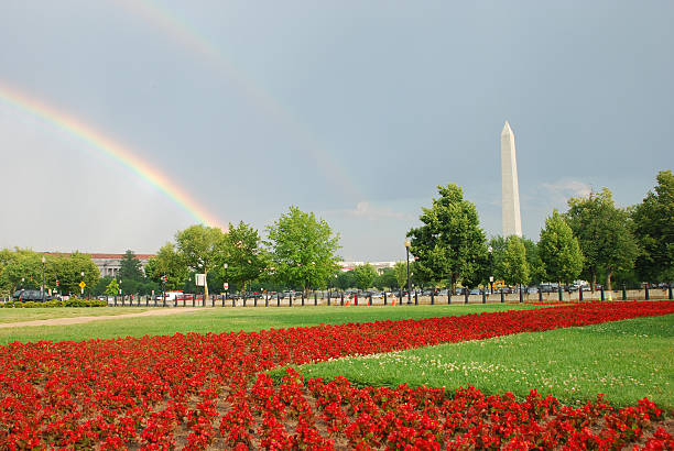 Washington Monument in a sunny day in Washington DC, USA