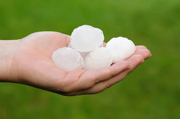 Photo of A white hand holding large hailstones on its palm