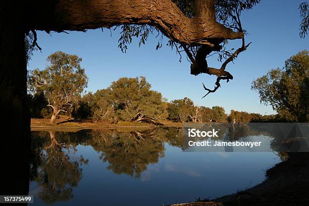 Fiume Riflessi - Fotografie stock e altre immagini di Fiume Murray - Fiume Murray, Territorio del Nord, Australia
