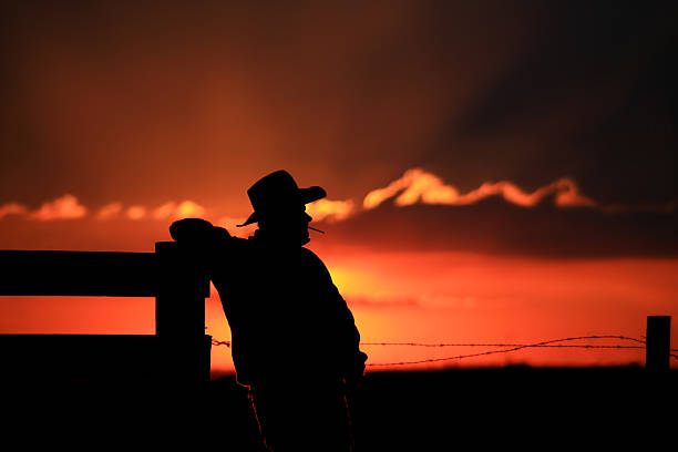 Cowboy Silhouette stock photo