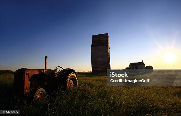 Prairie Por La Mañana Foto de stock y más banco de imágenes de Cinta de grano - Cinta de grano, Abandonado, Agricultura