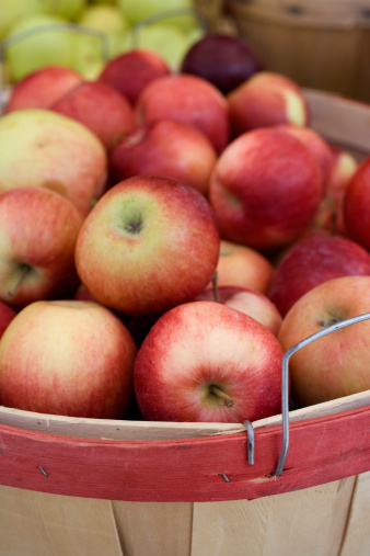 Fresh and colorful apples in dark brown basket, Autumn at the rural garden.Harvesting