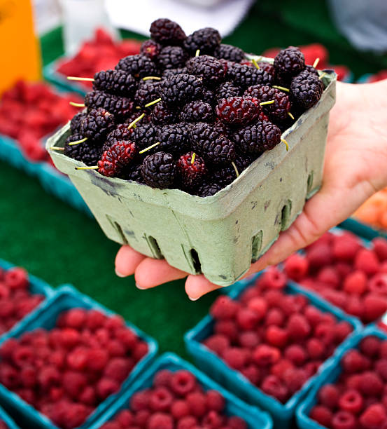Ripe raspberries and wild blackberries on a vintage plate