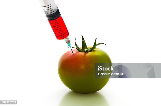 Foto de De Modificação Genética e mais fotos de stock de Agricultura - Agricultura, Alimento Transgênico, Aprimoramento