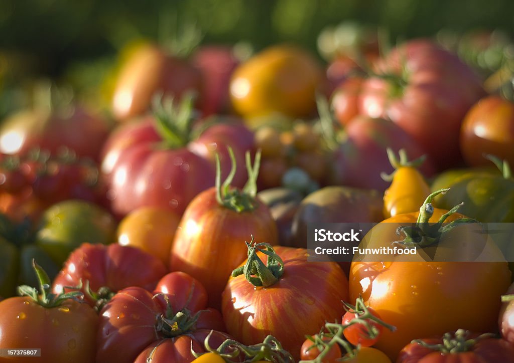 Tomates, legumes de fundo, produtos orgânicos em Farmer's Market - Foto de stock de Abundância royalty-free