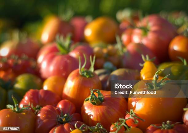 Foto de Tomates Legumes De Fundo Produtos Orgânicos Em Farmers Market e mais fotos de stock de Abundância