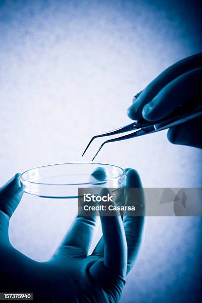 Investigação Médica - Fotografias de stock e mais imagens de Bactéria - Bactéria, Biologia, Ciência