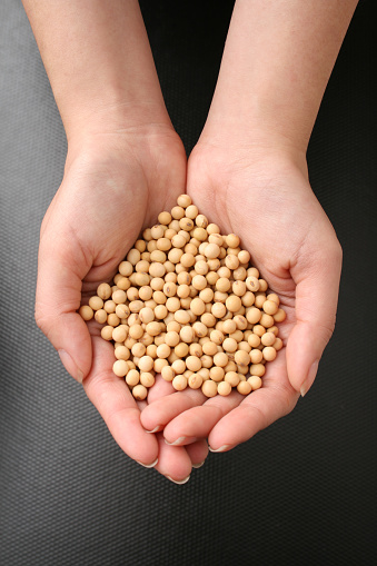Top view of young woman hands holding soybeans. Shallow depth of field
