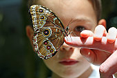 Seven year old boy/child with butterfly on finger