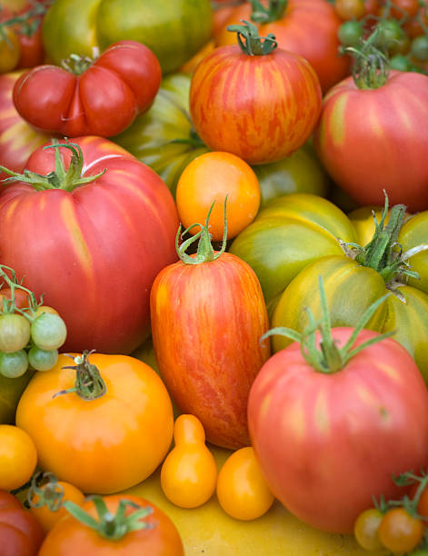 地元のオーガニック野菜、エアルームトマト、夏の食材の背景 - heirloom tomato homegrown produce tomato organic ストックフォトと画像