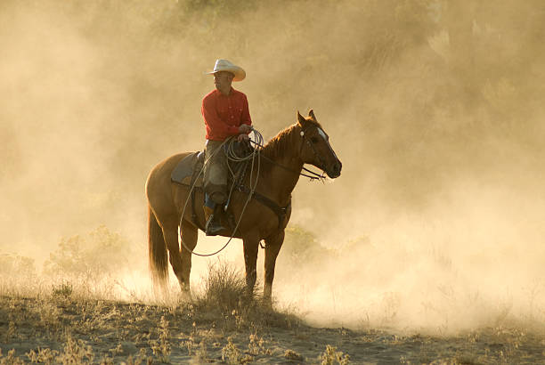 istock Horse and rider 157376575