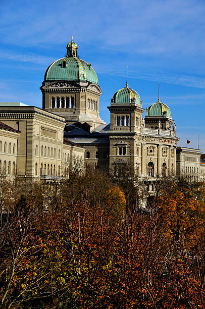 bundeshaus in 베르네 - berne the reichstag berne canton switzerland 뉴스 사진 이미지