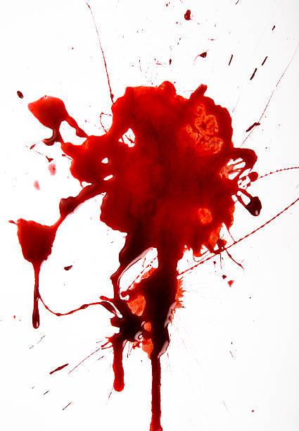 splat di sangue su sfondo bianco - sangue foto e immagini stock