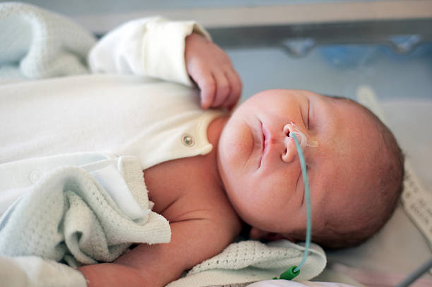 istock Day old baby intensive care 157377048