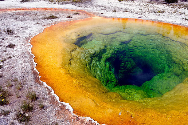 istock Morning Glory Pool, hot spring, Yellowstone National Park 157377092