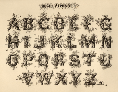 Rustic alphabet vintage engraving from 1881