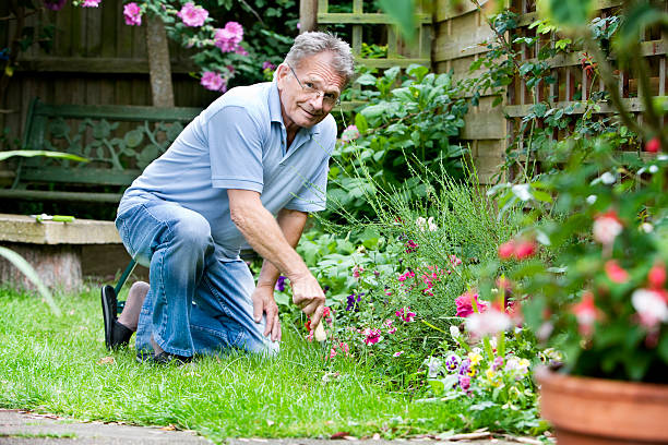 istock retirement: a senior gentleman at work in the garden 157377139