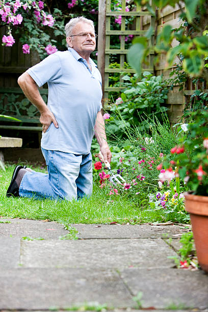 istock retirement: senior man stretching from gardening to relieve back ache 157377140
